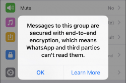 官方下载WhatsApp的几个关键步骤与分析