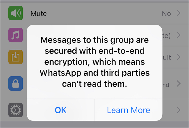 WhatsApp的应用方法.png