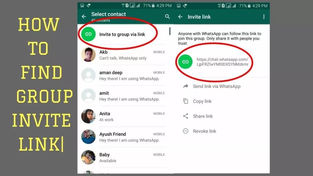 whatsapp.jpeg